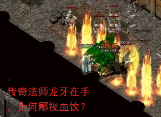 ���淨ʦ�������֣�Ϊ�α���Ѫ����
