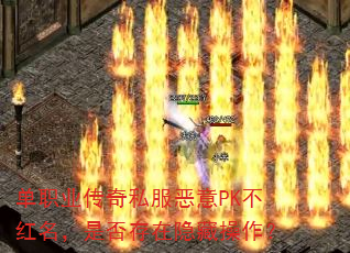 ��ְҵ����˽������PK���������Ƿ�������ز�����
