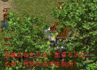 Ӣ��װ����ôѡ��Ѫ��������ô�죿����֮·����ָ�ϣ�