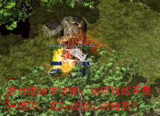 �������������ܣ������������߾��磬��Ϊս���ϵ����飿