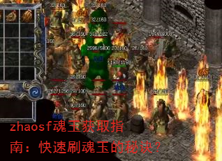 zhaosf�����ȡָ�ϣ�����ˢ������ؾ���