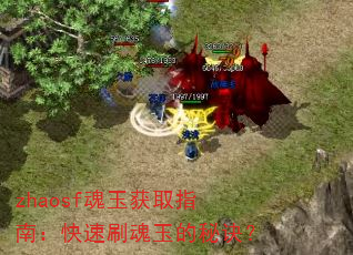 zhaosf�����ȡָ�ϣ�����ˢ������ؾ���