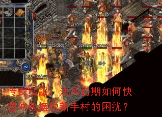 ����˽������ʦ������ο��ٳ弶�������ִ�����ţ�