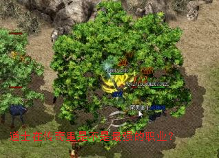 ��ʿ�ڴ������ǲ�����ǿ��ְҵ��