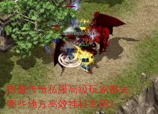 ��Ѫ����˽���߼���Ҷ�ȥ��Щ�ط���Ч�һ�ˢͼ��