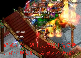 �ུ��棺սʿ��ʦ��ʿ����·����ι滮ְҵ��չ�Ų���·��