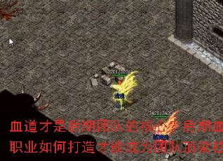 Ѫ�����Ǻ����Ŷӵĺ��ģ�����Ѫ��ְҵ��δ�����ܳ�Ϊ�ŶӶ�������