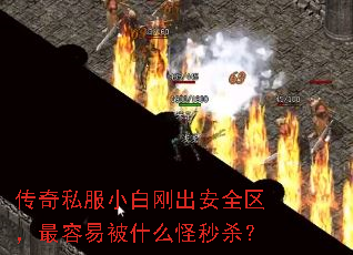 ����˽��С�׸ճ���ȫ���������ױ�ʲô����ɱ��