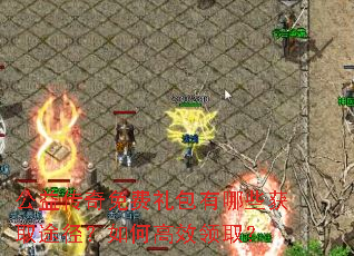���洫������������Щ��ȡ;������θ�Ч��ȡ��