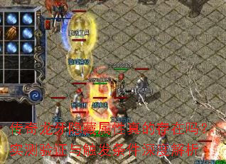 ������������������Ĵ�����ʵ����֤�봥��������Ƚ���