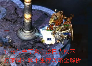 1.76���������ɳ�Ϳ��ܲ�����𣿺�ƽ���湥��ȫ����