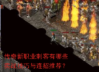 ������ְҵ�̿�����Щʵս�����������Ƽ���