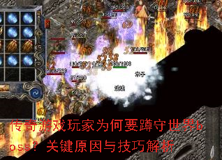 ������Ϸ���Ϊ��Ҫ��������boss���ؼ�ԭ���뼼�ɽ���