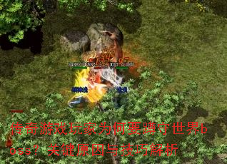 ������Ϸ���Ϊ��Ҫ��������boss���ؼ�ԭ���뼼�ɽ���