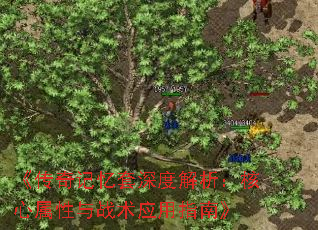 �������������Ƚ���������������ս��Ӧ��ָ�ϡ�