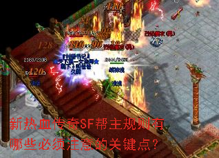 ����Ѫ����SF������������Щ����ע��Ĺؼ��㣿