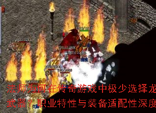 ��ʦΪ���ڴ�����Ϸ�м���ѡ��������Ϊ������ְҵ������װ����������Ƚ���