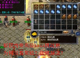 ��������߼�boss��ս��Ϊ��û�н�������ν����