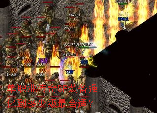 ��ְҵ����SFװ��ǿ�������ټ�����ʣ�