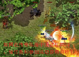 ����ڴ���˽����ͨ����BOSS��������Ͳμӻ������ƣ�