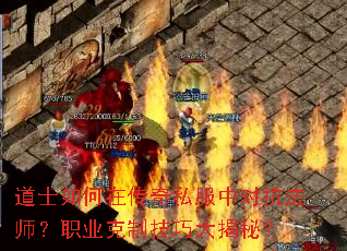 ��ʿ����ڴ���˽���жԿ���ʦ��ְҵ���Ƽ��ɴ���أ�
