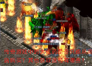 ������Ϸ�еĴ��ҩ�Ƿ�ֻ�ܴ��̵깺��������ȡ;������Щ��