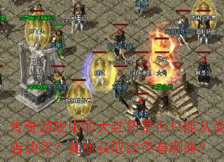 ������Ϸ�еĴ��ҩ�Ƿ�ֻ�ܴ��̵깺��������ȡ;������Щ��