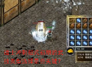 ��ʿ�����ʽ���ڵ��似����ѡ���Ƿ�ؼ���
