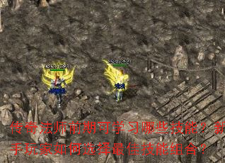 ���淨ʦǰ�ڿ�ѧϰ��Щ���ܣ�����������ѡ����Ѽ�����ϣ�
