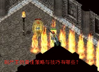 ˢʬ������Ѳ����뼼������Щ��