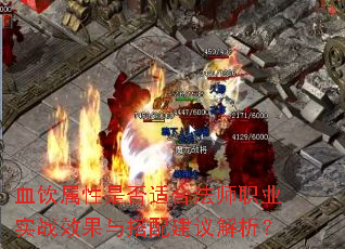 Ѫ�������Ƿ��ʺϷ�ʦְҵʵսЧ������佨�������