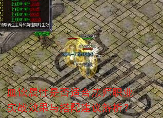 Ѫ�������Ƿ��ʺϷ�ʦְҵʵսЧ������佨�������