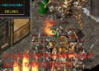 ��ȥ��ħ��ˢ��ʱ��θ�Ч�ܿ�BOSS������Щʵ�ü��ɣ�