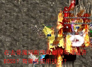 ��ȥ��ħ��ˢ��ʱ��θ�Ч�ܿ�BOSS������Щʵ�ü��ɣ�
