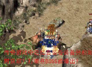 ������Ϸ�м�����װ��װ���ֱ���λ�ȡ������ЩBOSS�ܱ�����