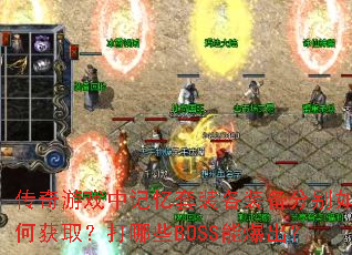 ������Ϸ�м�����װ��װ���ֱ���λ�ȡ������ЩBOSS�ܱ�����