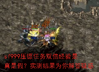 sf999ѹ������˫�����������Ǽ٣�ʵ����Ϊ�����ɻ�