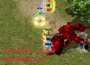 ��ë�ڸտ�һ�봫���ﵽ����ʲô�ã�