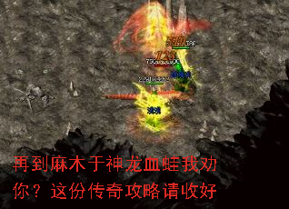 �ٵ���ľ������Ѫ����Ȱ�㣿��ݴ��湥�����պ�