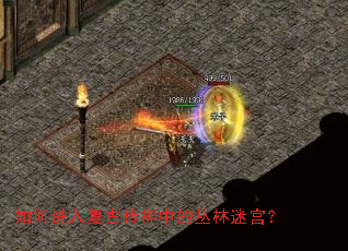��ν��븴�Ŵ����еĴ����Թ���