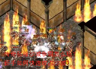 ����˽��ɳ��������ô�棿������ο��ٹ�ռɳ�ǣ�