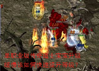 ��ְҵ�洫���ʿ����������������ο��������ȼ���