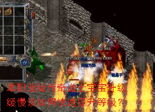 ��ְҵ�洫���ʿ����������������ο��������ȼ���