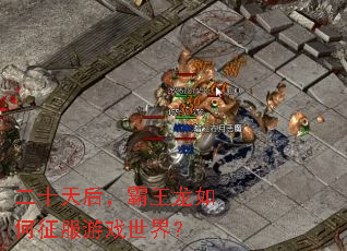 ��ʮ��󣬰��������������Ϸ���磿