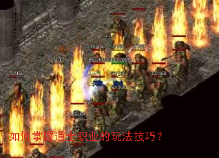������յ�ʿְҵ���淨���ɣ�