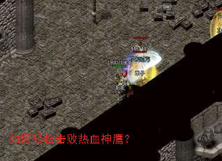������ɻ�����Ѫ��ӥ��