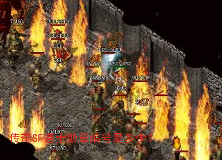 ����SF��ʿѫ�±���Ƕ��٣�