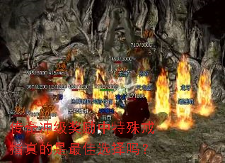 ����弶�����������ָ��������ѡ����
