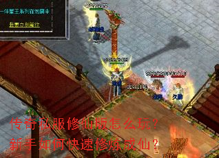 ����˽�����ɰ���ô�棿������ο����������ɣ�
