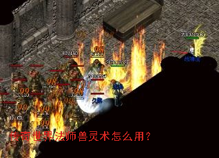 �������編ʦ��������ô�ã�